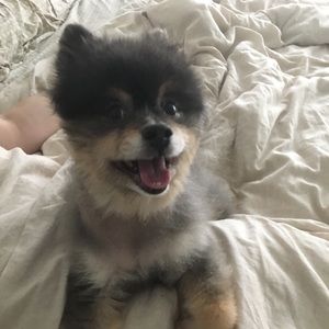 Meet your Posher, Mandy